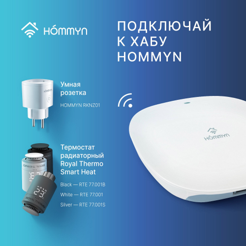 Комплект три умные розетки и хаб HOMMYN SP3HOMKIT07