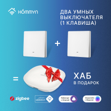 Комплект два умных одноклавишных выключателя и хаб Hommyn SW11HOMKIT04