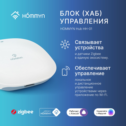 Комплект два умных одноклавишных выключателя и хаб Hommyn SW11HOMKIT04