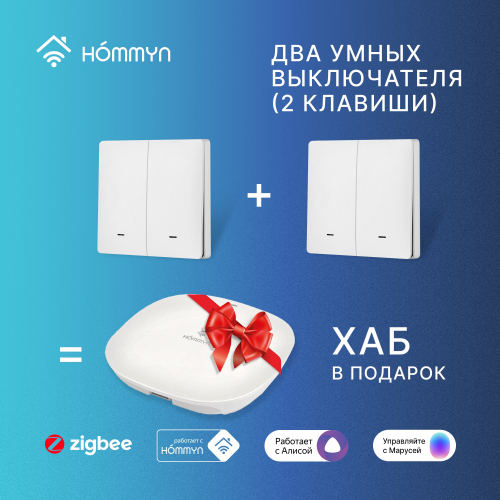 Комплект два умных двухклавишных выключателя и хаб HOMMYN SW22HOMKIT05