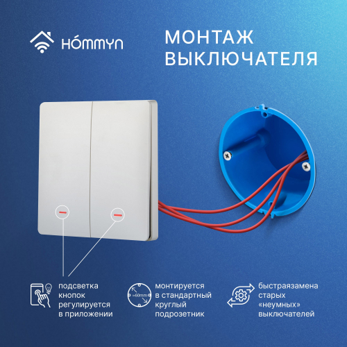 Комплект два умных двухклавишных выключателя и хаб HOMMYN SW22HOMKIT05