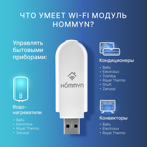 Модуль съемный управляющий HOMMYN HDN/WFN-02-01
