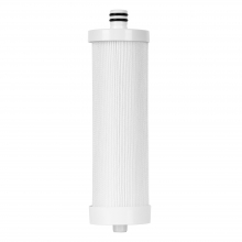 Картридж Electrolux AM Carbon 2in1